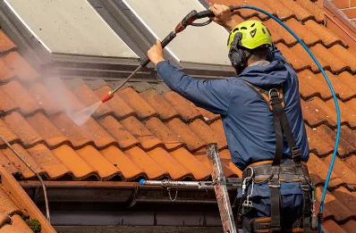 Démoussage et hydrofuge de toiture à Bernin
